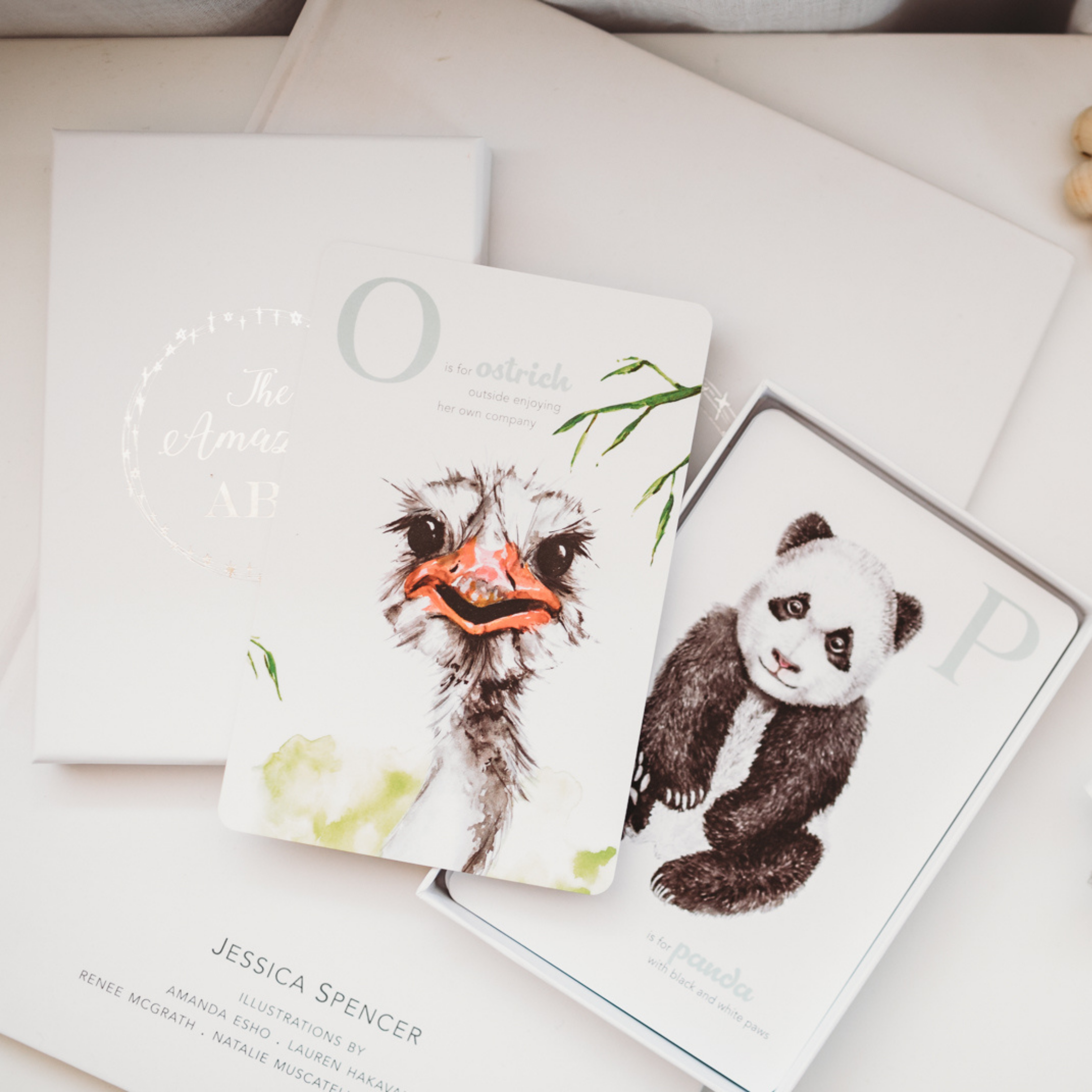 The Amazing ABC Flash Cards