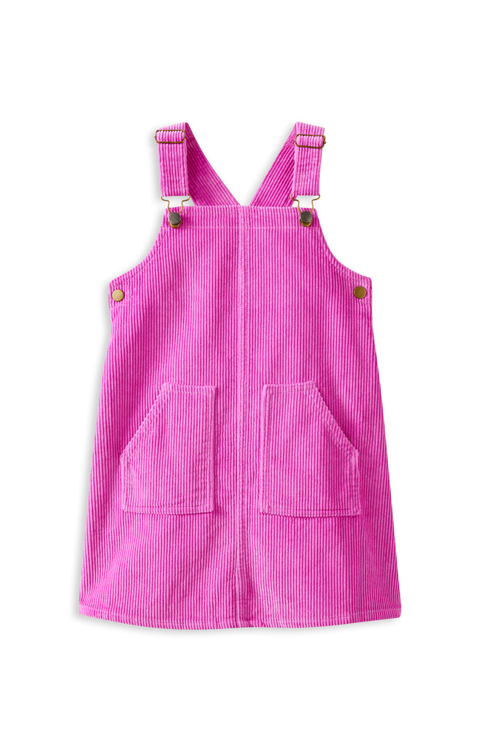 Pinny Pop Dress