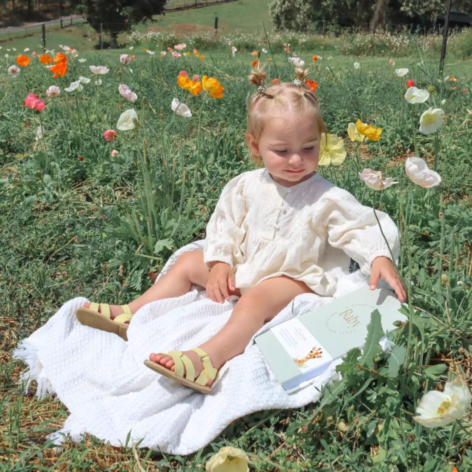 Baby Memory Book - Pregnancy to 5 Years - Sage Green - Boxed