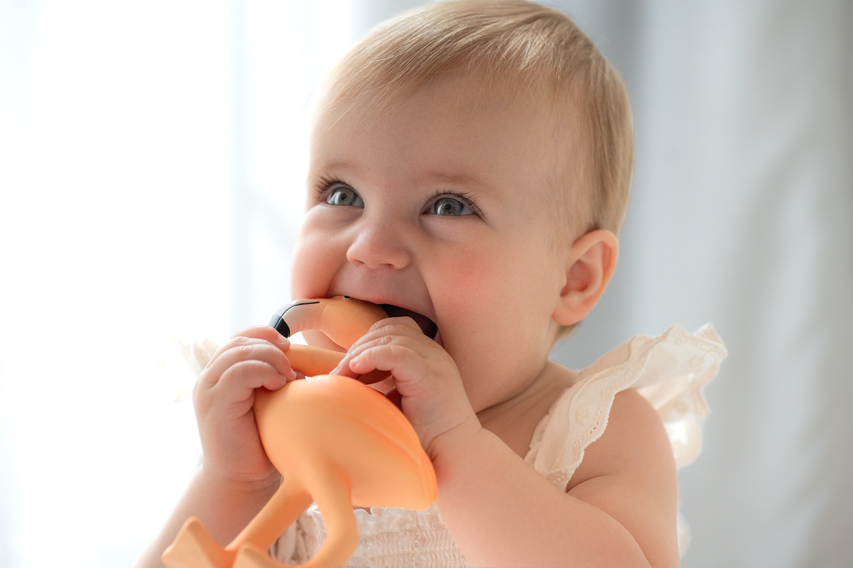 Lingo the Flamingo - Flock Together Set