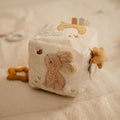 Newborn Naturals Soft Goose Activity Cube
