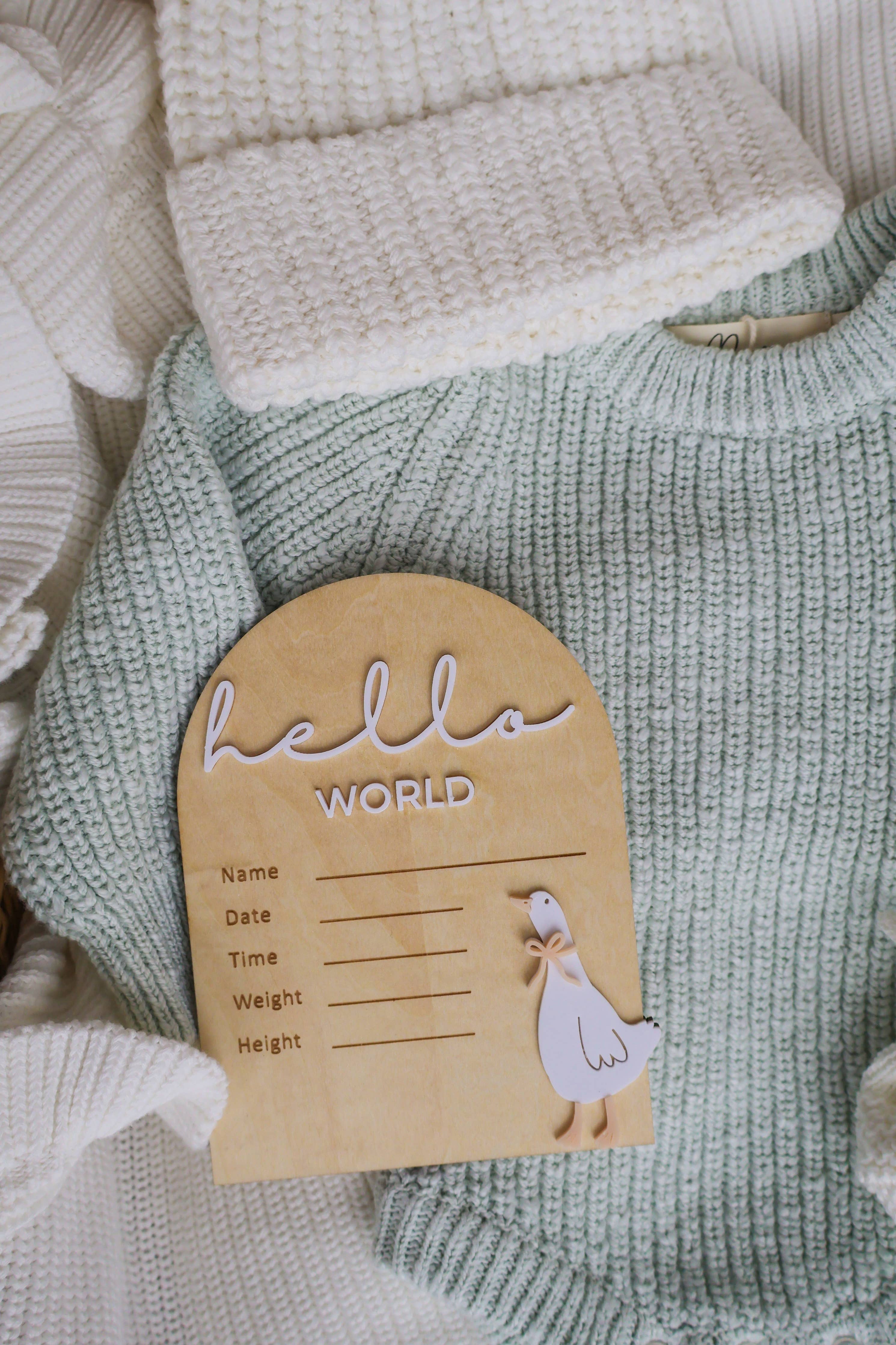 HELLO WORLD | WRITEABLE | GOOSE