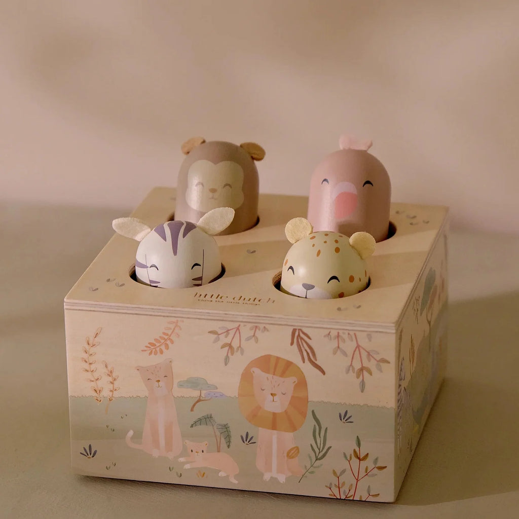 Wooden Pop Up Toy