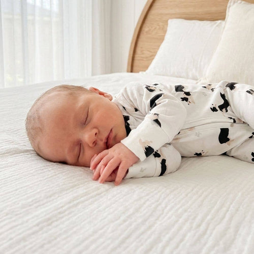 BORDER COLLIE | Full Zip Unisex Romper