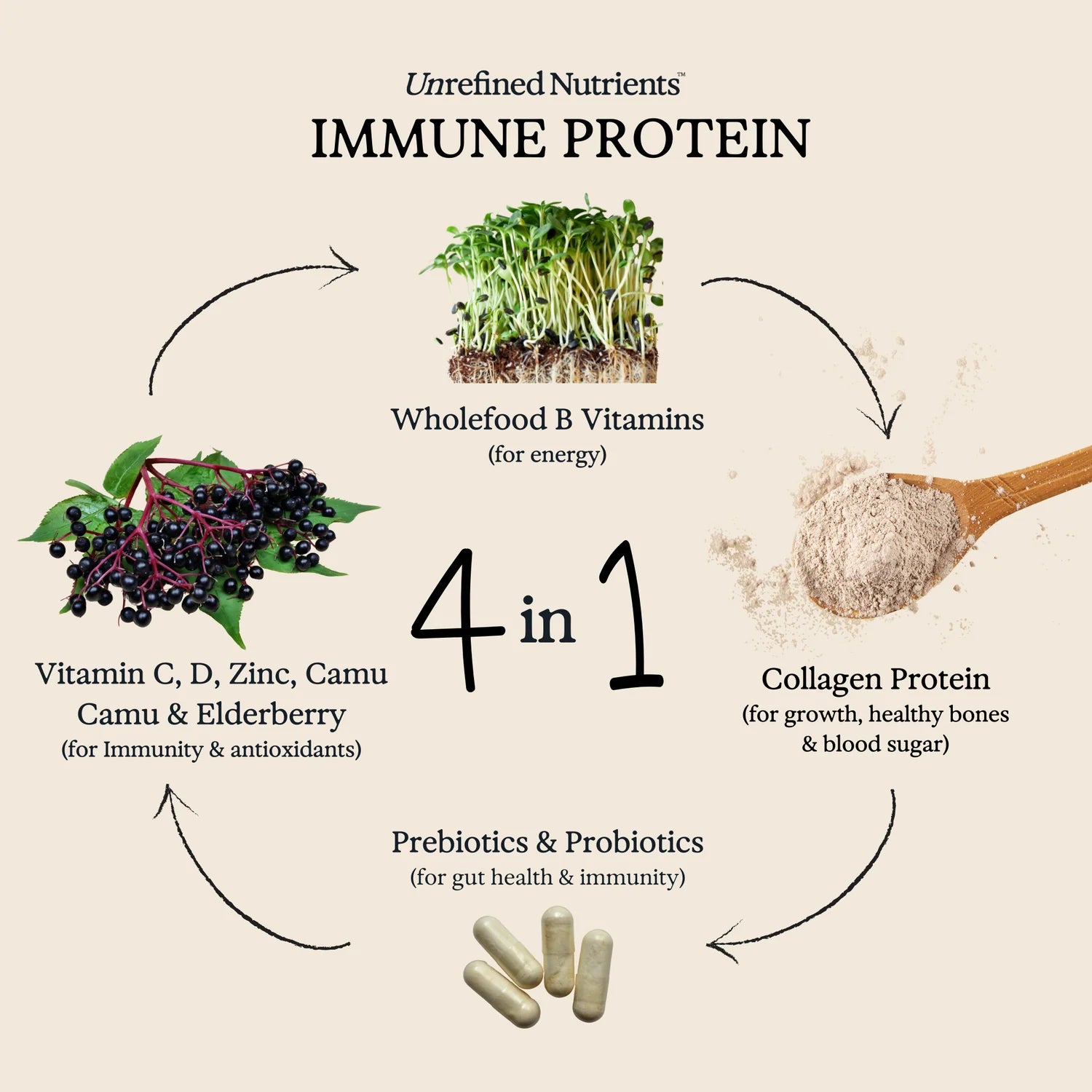 Immune Protein - Cacao Cavalry