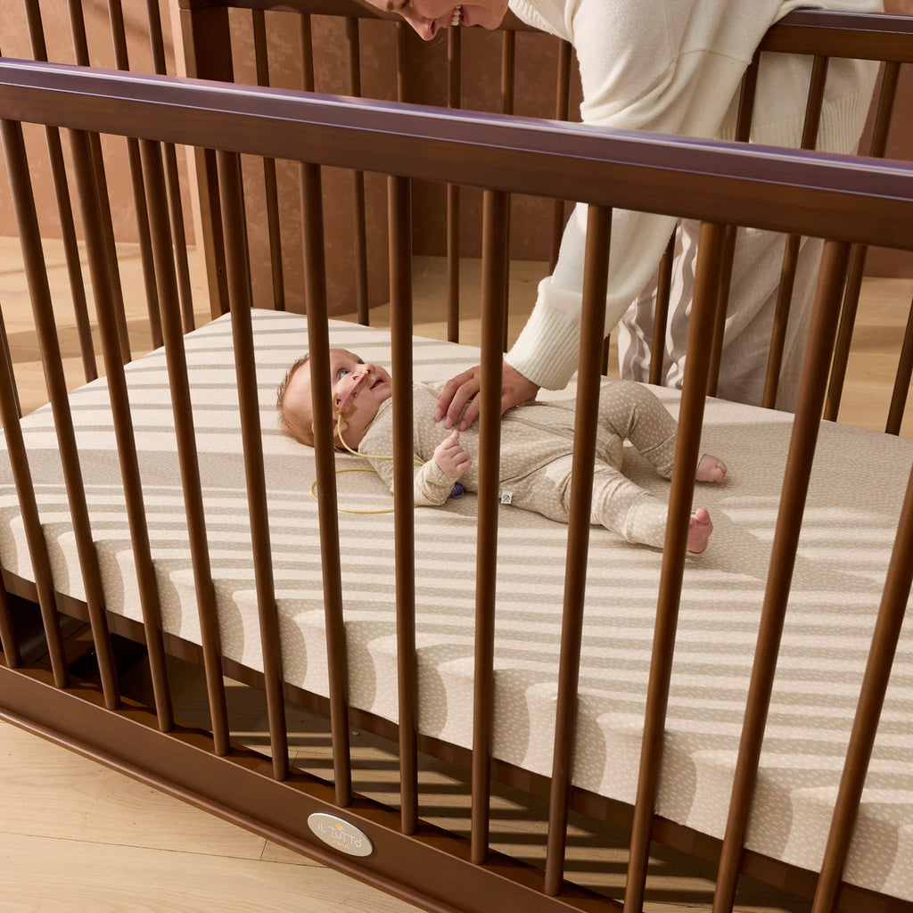 Ollie Sustainable Timber Cot in Walnut PRE ORDER LATE JULY