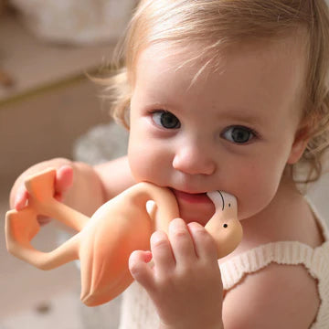 Lingo the Flamingo - Teether and Bath Toy