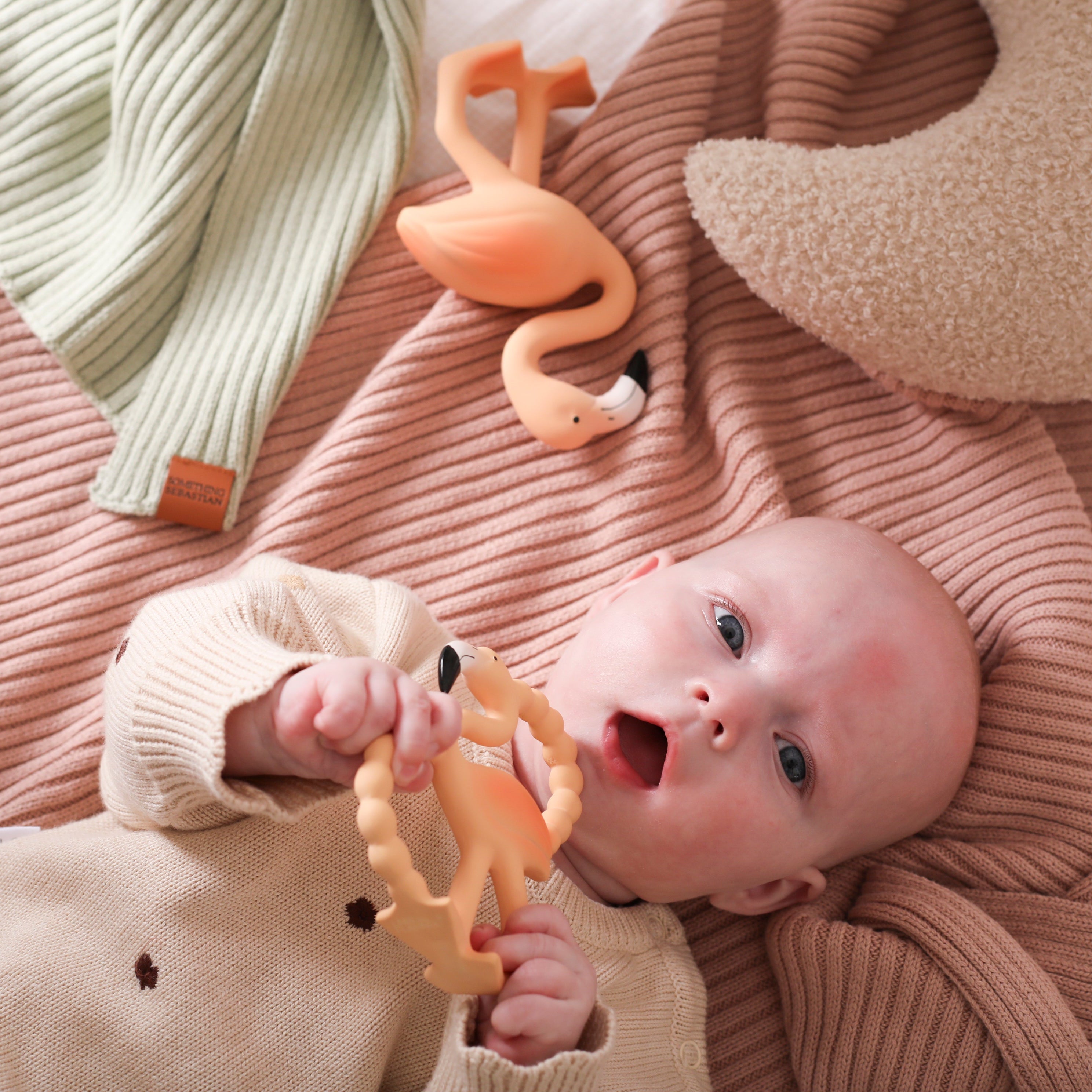 Lingo the Flamingo - Mini Teether and Bath Toy