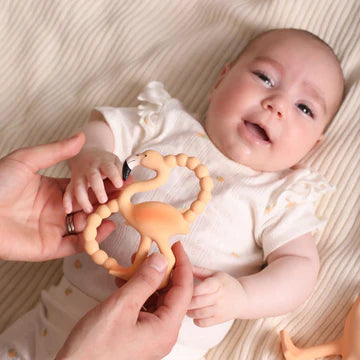 Lingo the Flamingo - Mini Teether and Bath Toy
