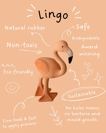 Lingo the Flamingo - Teether and Bath Toy