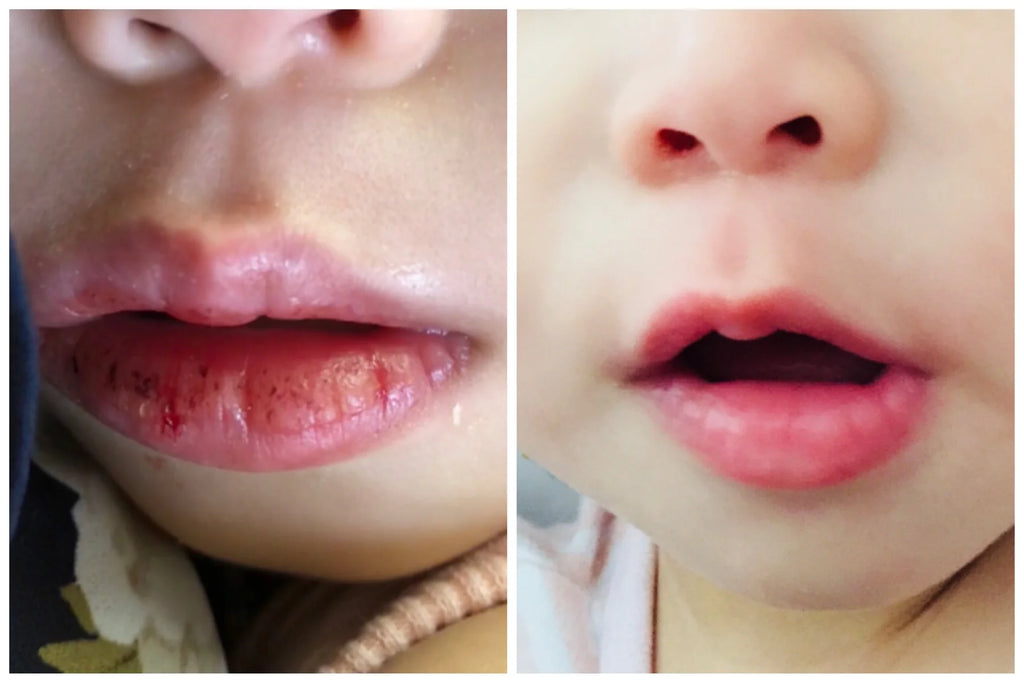 Avocado Nourishing Lip Butter