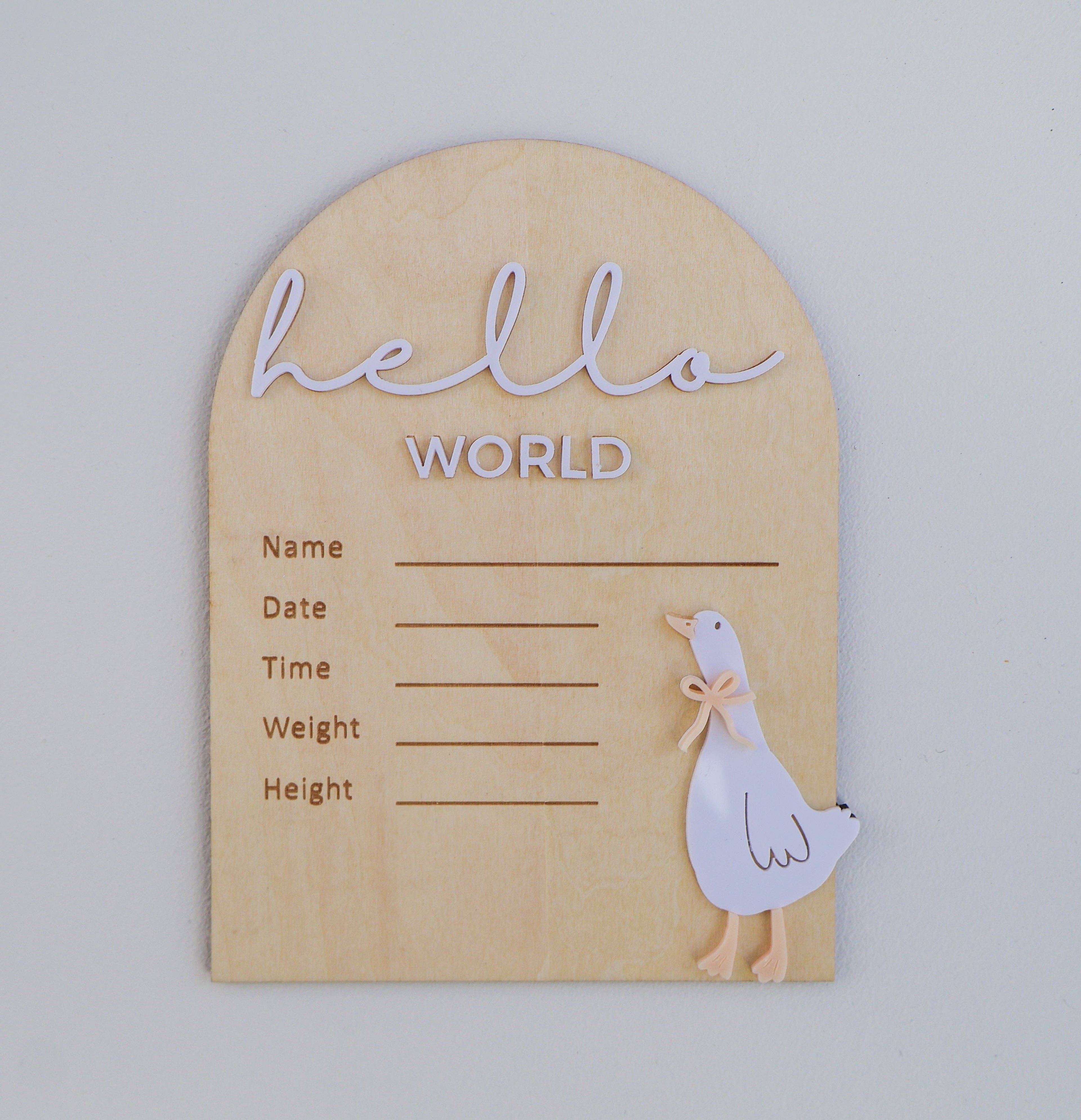 HELLO WORLD | WRITEABLE | GOOSE