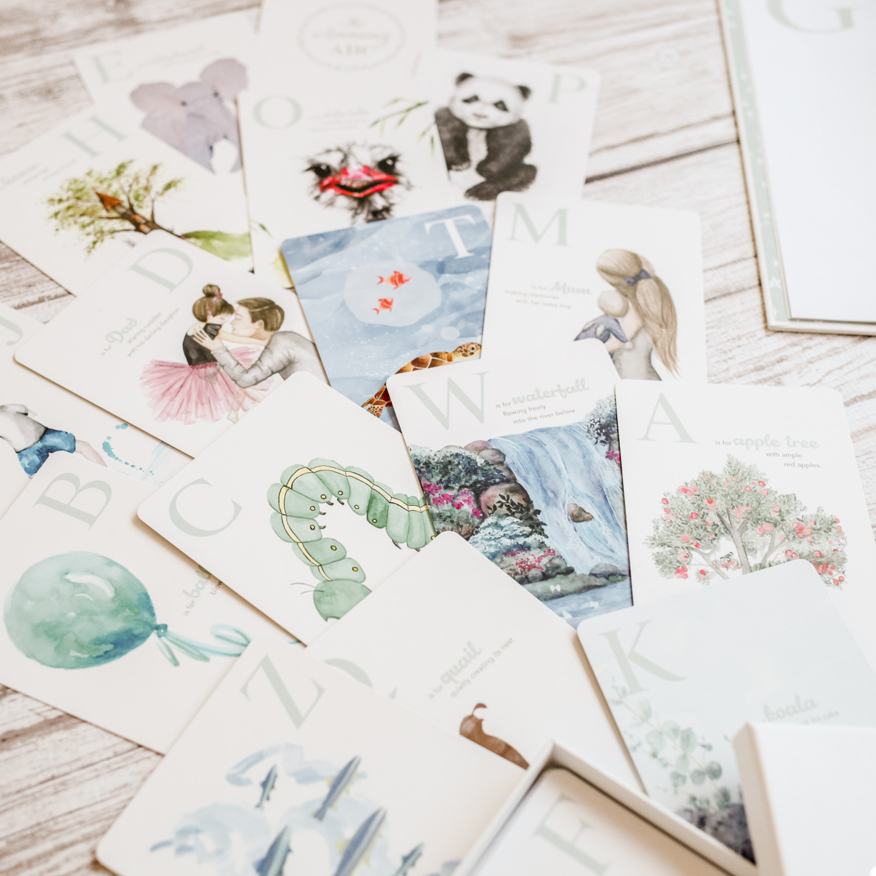 The Amazing ABC Flash Cards