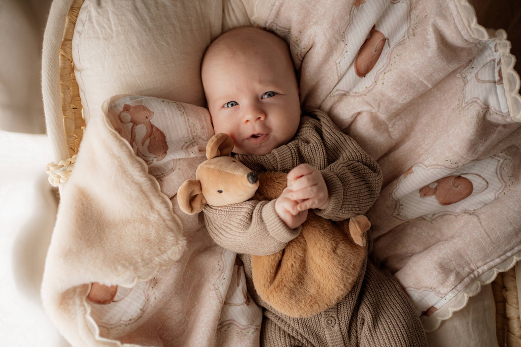Squeaky the Sweet Comforter Toy