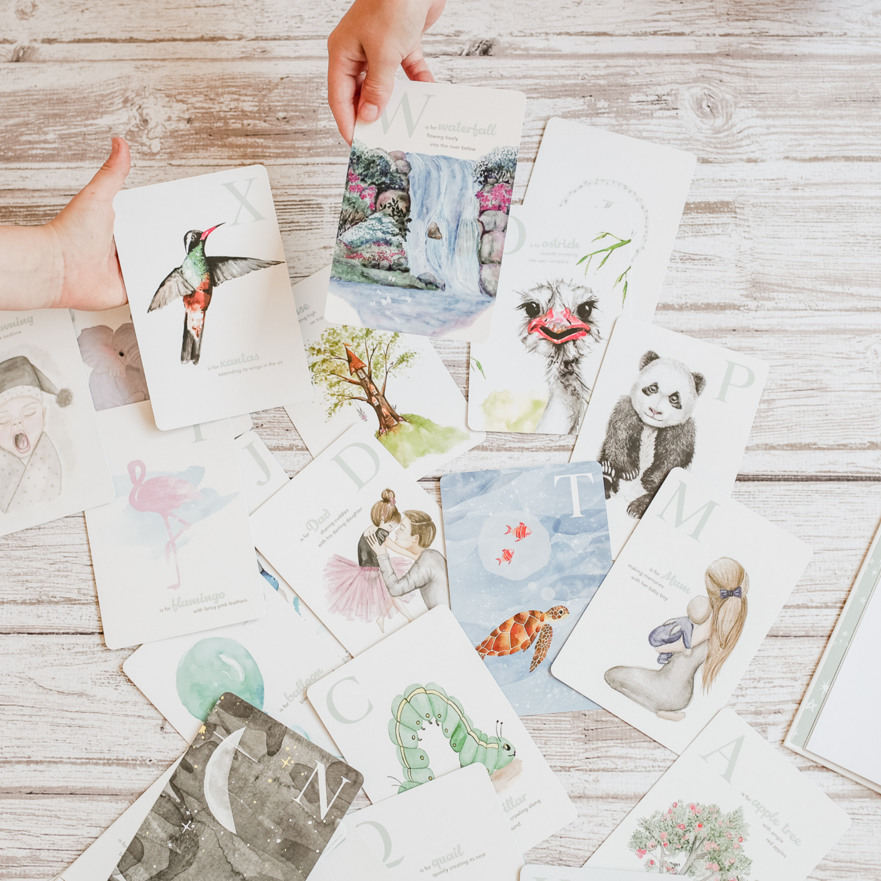 The Amazing ABC Flash Cards