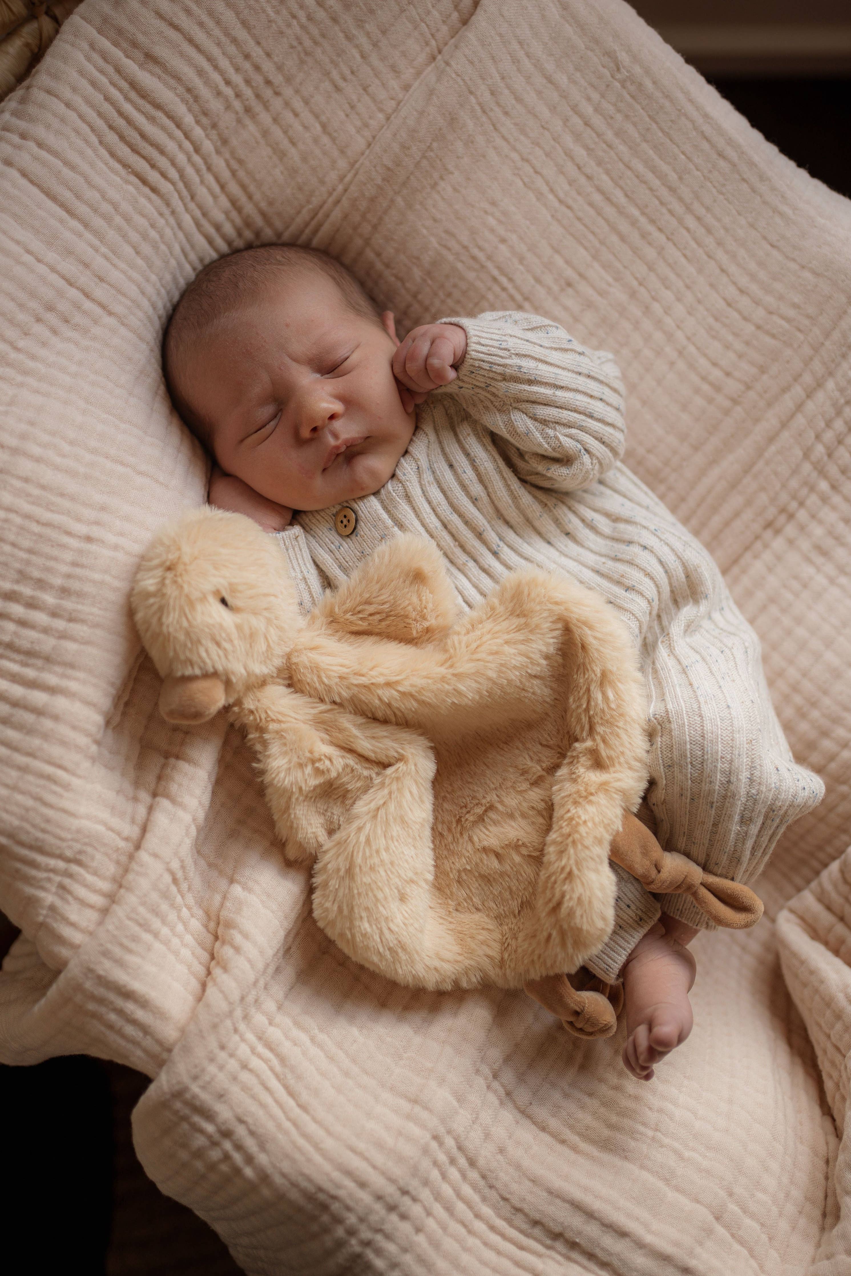 Quacks the Comforter Toy