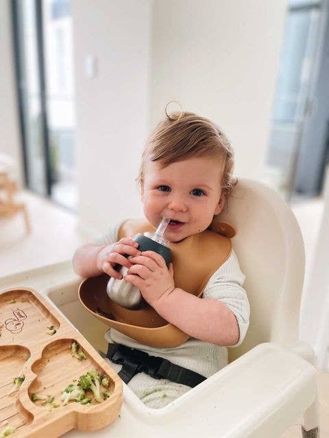 Toddler Straw Cup